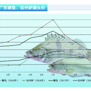 �����|�����~�����������^  �f�~���ٶ��ڿ��q������ˮ�aǰ�ء�2017��9�¿��Ј�څ��