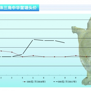 ���~������С���ϝq  �����s�����µ�������ˮ�aǰ�ء�2017��9�¿��Ј�څ��