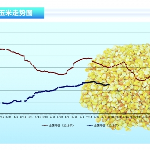 ���ף��A�����󏊄� ��������ƫ���\�С�����ˮ�a(ch��n)ǰ�ء�2017��9�¿��Ј�څ��