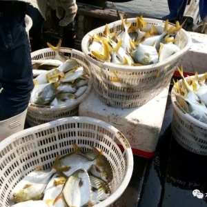 9�³����K�~�������У��A(y��)Ӌ(j��)���K�~�r(ji��)��ֻ�����q