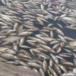 �~�Ҏ(gu��)ģ�����ġ�Ԫ������Ͷ�����������ж�����ֻ���ȱ����