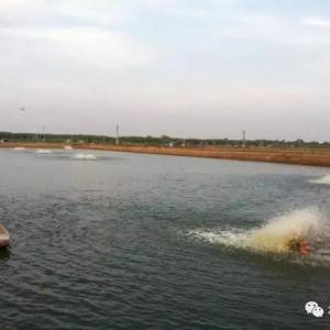 �����@�N�B(y��ng)ֳģʽ����Ҳ�ܳɞ顰������