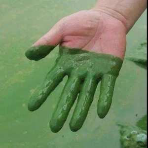 �����{(l��n)�壬�����@ô��(ji��n)�Σ�