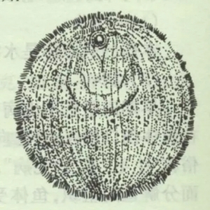 ��Ⱦ�죬���ЏV��Σ���󣡲��ûţ�һ�Ľ��㌦(du��)�����c(di��n)��