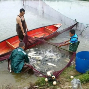 �A�в��~�֬F(xi��n)һ݆�͵�����͵���4.6Ԫ���p��(ji��)�ܷ�����(d��ng)�����ϝq��| ���~�r(ji��)�����½���