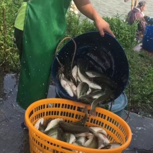 2017��9��13�ռ����|���^�r(ji��)