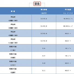 2017��9��15�ղ�β�t/�����|/���|/��13��Ʒ�Nȫ���r��