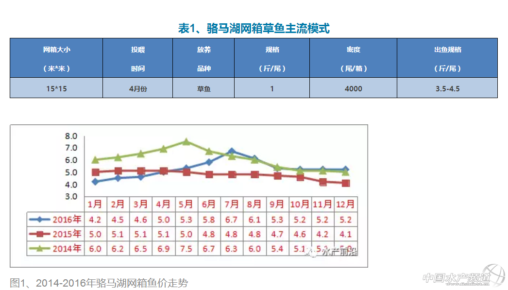 1���~��r8ë����ǰ1�������У�