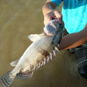 ����Ϣ���V�|���~��ǰ�q1Ԫ/�����򌢻��䣡