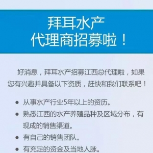 �@������500��(qi��ng)����Ҫ�c�㹲ͬ��(chu��ng)�I(y��)�ɾ͉�(m��ng)��