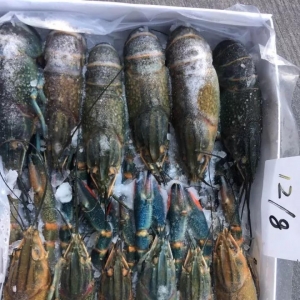 ������Ϣ��������޵�ˮС���r�����r�������{(l��n)�����~�����������ƣ�