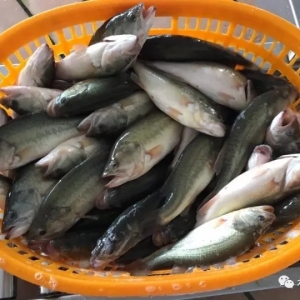 2017��10��2�ռ����|���^�r�񡪡����~���У��r���^��