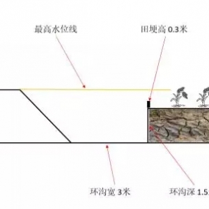�����r������ģʽ���g���a��߀�ܔU��3������߀��ʲô��
