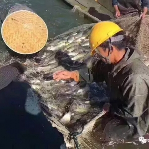 2017��10��3�ղ��~����s�y�z����(d��ng)��