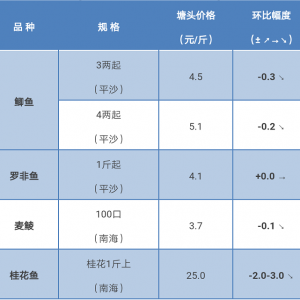 2017��10��6���a�~���_���~�����~�r�����麆��