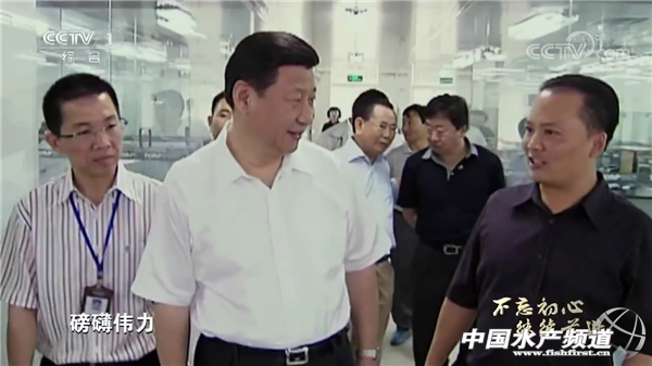 ţ���м���I3��11������ҕ�������l��