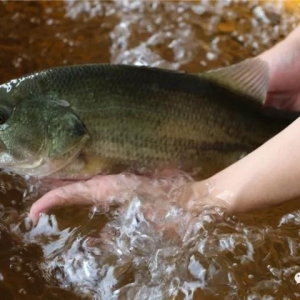 ��Ҏ������|��������r���ͦ��-2017��10��9�ռ����|���^��r