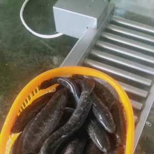 ���~��ߝq1Ԫ/�����2017��10��9�����~���^��r