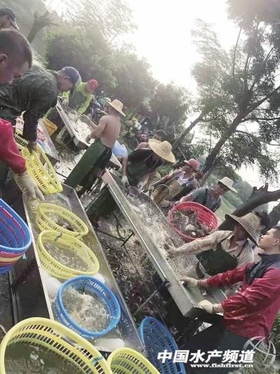 �Z�~�ИI���R��һ݆ϴ�� ���ͻ����