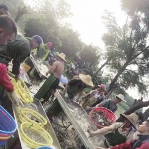 �Z�~�ИI(y��)���R��һ݆ϴ�� ���ͻ����