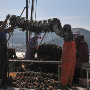 ɽ�|�����Ј�(ch��ng)����ؐÿ����r(ji��)��6Ԫ