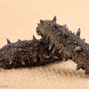 �M(j��n)�a(b��)Ҫ������������ɽ�|���ӱ�������(y��n)�؜p�a(ch��n)�����B�����q�r(ji��)20%������