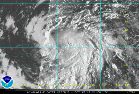 17�������_�L���m������Ҫ������Ԏ���ֲ���