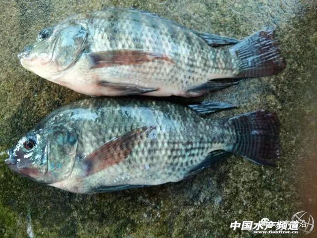 �_������ϯ��������70000��β�_���~�o������