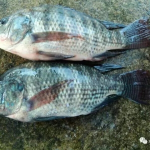 �_������ϯ��������70000��β�_���~�o������