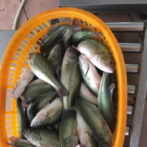 �V�|���~�q1.5Ԫ/����~�������|�q��(sh��)ϲ�ˣ�