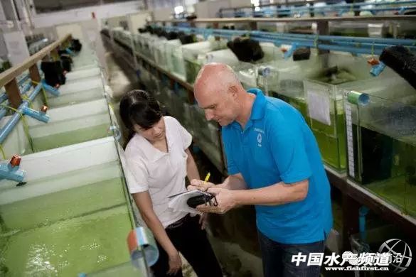 �׌��r������Ʒ�N������������·߀�����L�ڣ�