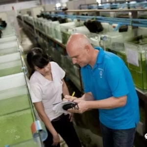 �׌�(du��)�r������Ʒ�N������������·߀�����L(f��ng)�ڣ�