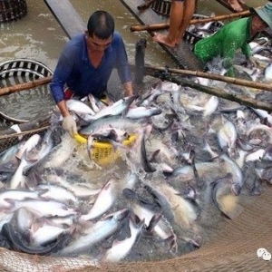 Խ�ϰ�ɳ�~�r��q���ˣ��@݆�q�r��߀�����m��ã�