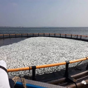 ��(z��i)�y���A�Ͻ��K�~��С���x���uȫ��漱��