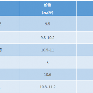 2017��10��28���S��~(y��)���^�r(ji��)���麆(ji��n)��--�����٣��~(y��)�r(ji��)�ַ�(w��n)