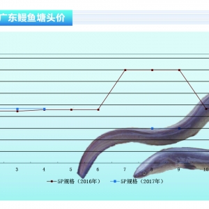 ���~���r(ji��)��ַ�(w��n)������ˮ�a(ch��n)ǰ�ء�2017��11�¿��Ј�(ch��ng)څ��(sh��)