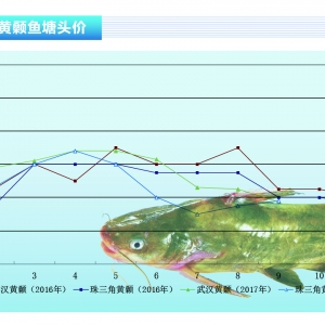 �S��~����(d��ng)�B(t��i)��(w��n)���r(ji��)��ƽ����ˮ�a(ch��n)ǰ�ء�2017��11�¿��Ј�(ch��ng)څ��(sh��)