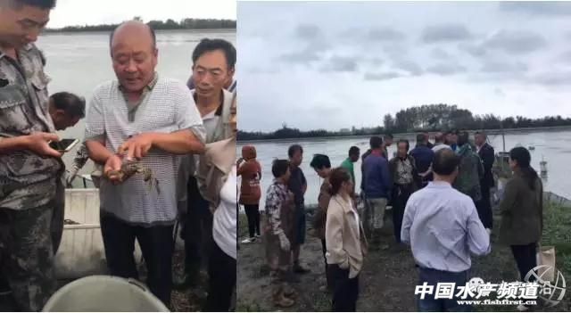 ���^���p���B(y��ng)��7.3���ؾ���з���AӋ��Ч�泬3�fԪ��