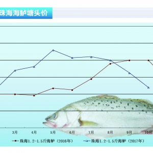 ���|�����~�������У��r���µ����@����ˮ�aǰ�ء�2017��11�¿��Ј�څ��