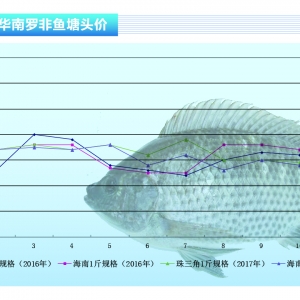 �Z�~�������ϝq���п��á���ˮ�aǰ�ء�2017��11�¿��Ј�څ��