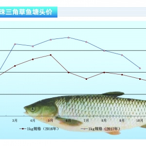 ���~���r�񺮶����с��R����ˮ�aǰ�ء�2017��11�¿��Ј�څ��