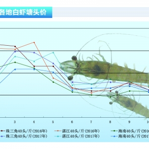 ��(du��)�r���r�r(ji��)С��������л�?q��)��ϝq����ˮ�a(ch��n)ǰ�ء�2017��11�¿��Ј�(ch��ng)څ��(sh��)