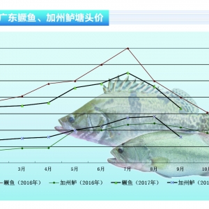 �Z�~�����~���У���ع��~�r��ֱ���µ��á���ˮ�aǰ�ء�2017��10�¿��Ј�څ��