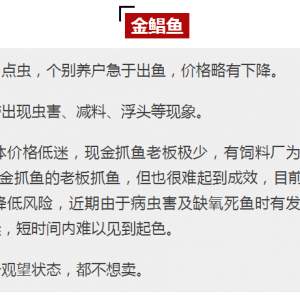 2017��11��4�ս��K�~���^�r���麆��--�����~���r��