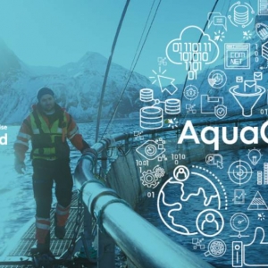 δ��ˮ�a�I���Ͷ�Y�ğ��c�cڅ��ԭ���ǡ���