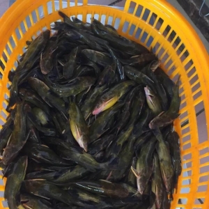 2017��11��6���S��~���^�r