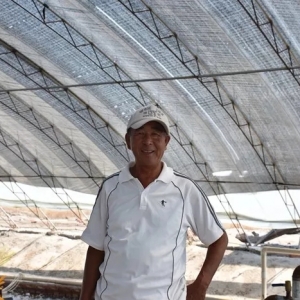 �����I(y��)Ҫ��Ρ��Ŵ��С�������B(y��ng)�r�a(ch��n)����