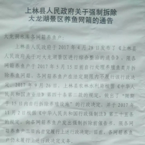 �o��������W�䣡�V���ό�800�f���~����������