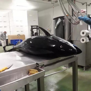 2017��11��10�չ�����Ϣ�����r�������{�����~��ӡ���S�����~