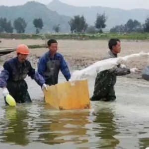 ����{��ˮ�w���A�Ȼ�Ӳ����?